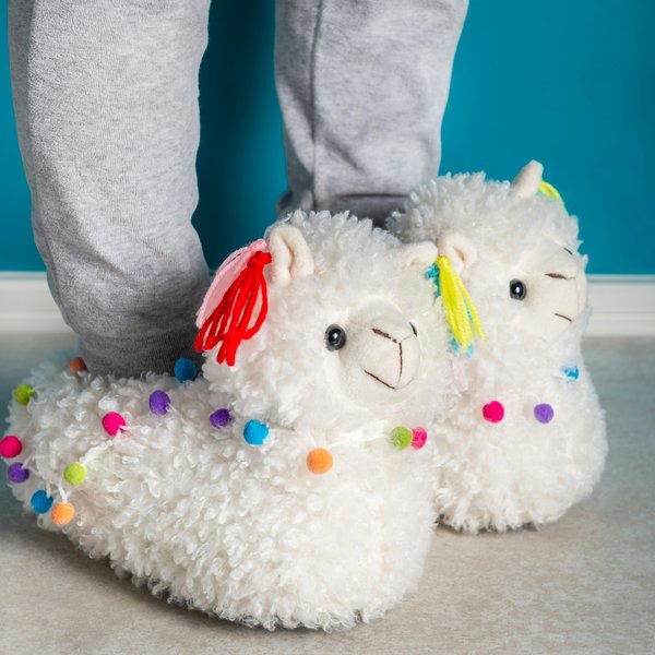 Découvrez les chaussons rigolo pour égayer vos journées !